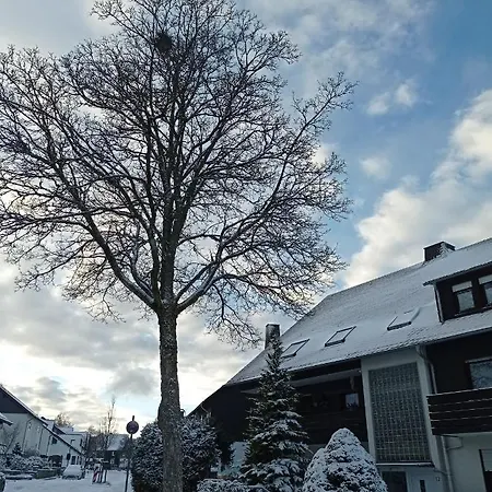 Apartamento Centrum Mit Privaten Keller Winterberg