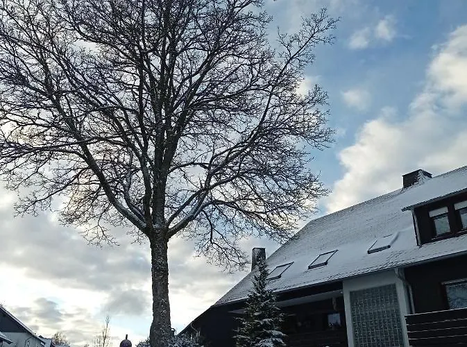 Daire Winterberg Centrum With Private Bicycle Storage Winterberg