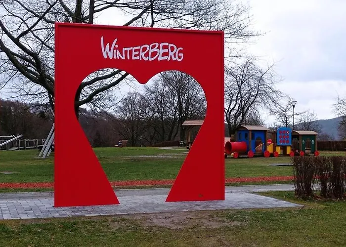 Winterberg Centrum With Private Bicycle Storage Daire